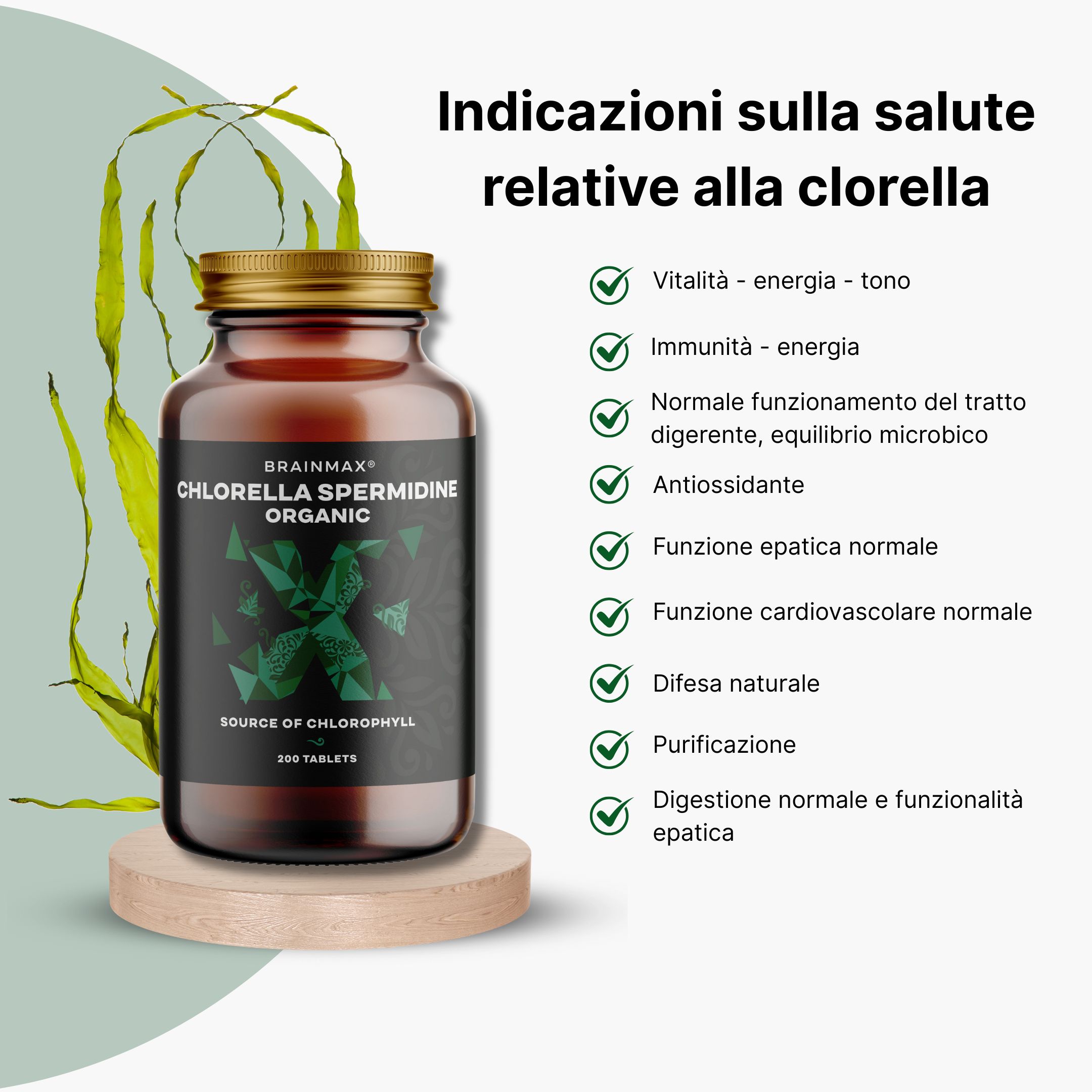 (Italština) (Slovinština)